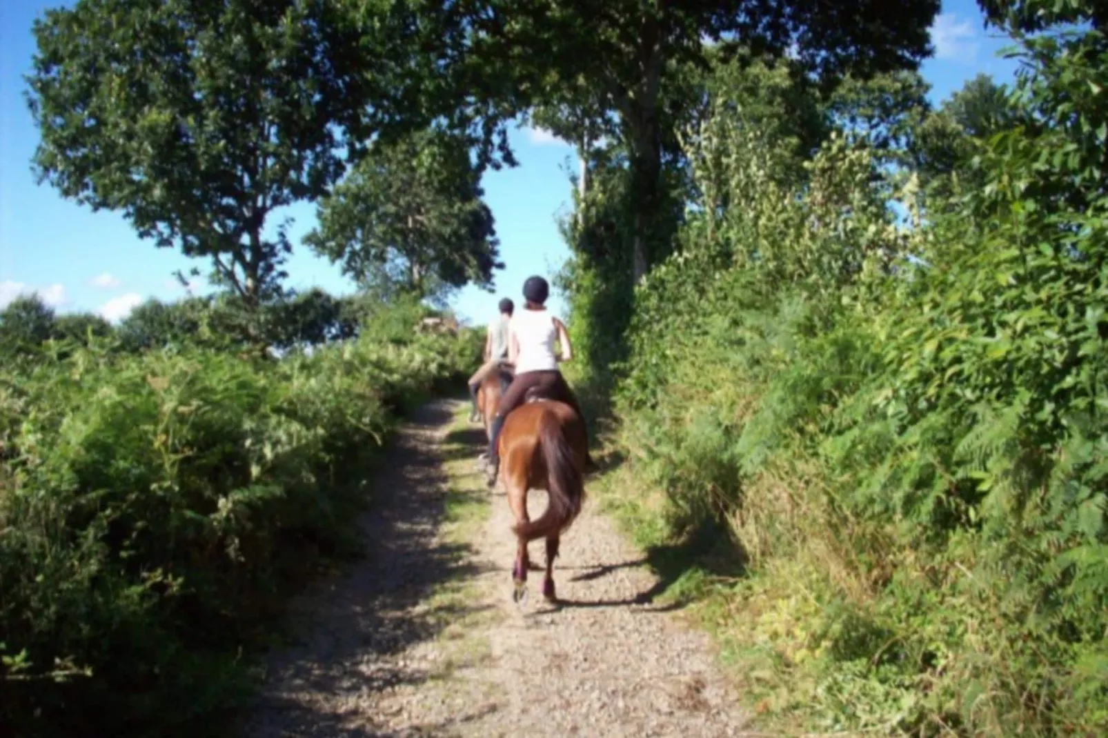 Gite 6 pers proche Mont St Michel-Gebieden zomer 5km