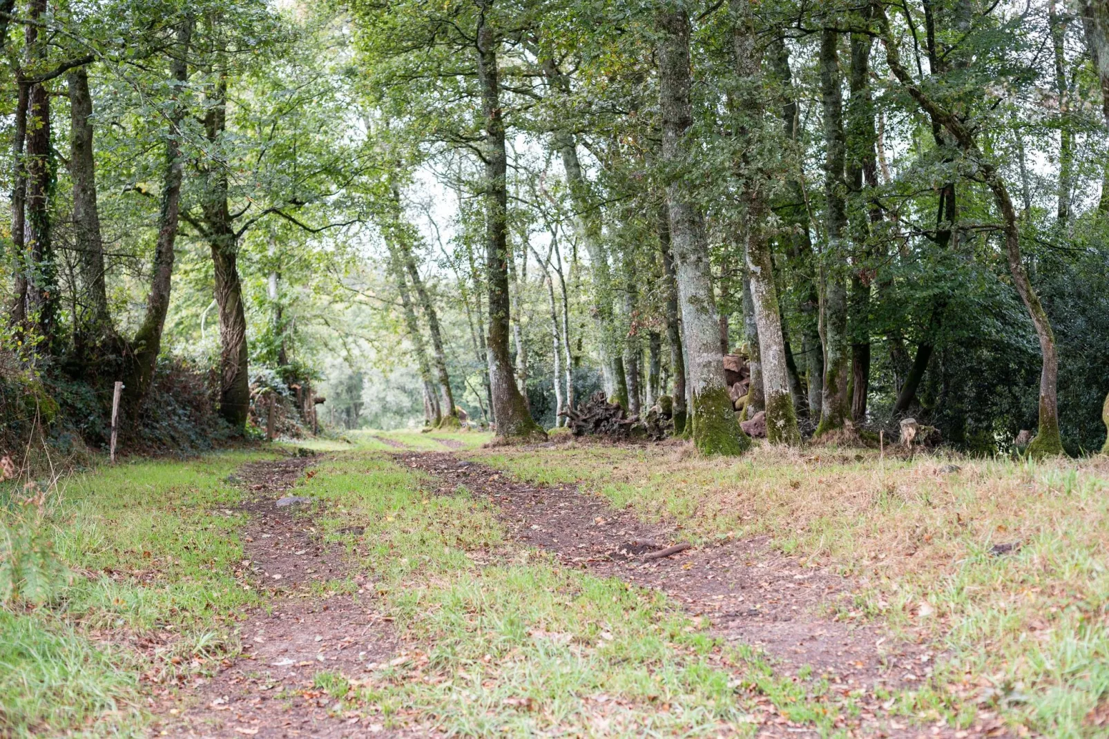 Maison de vacances Priziac-Gebieden zomer 1km