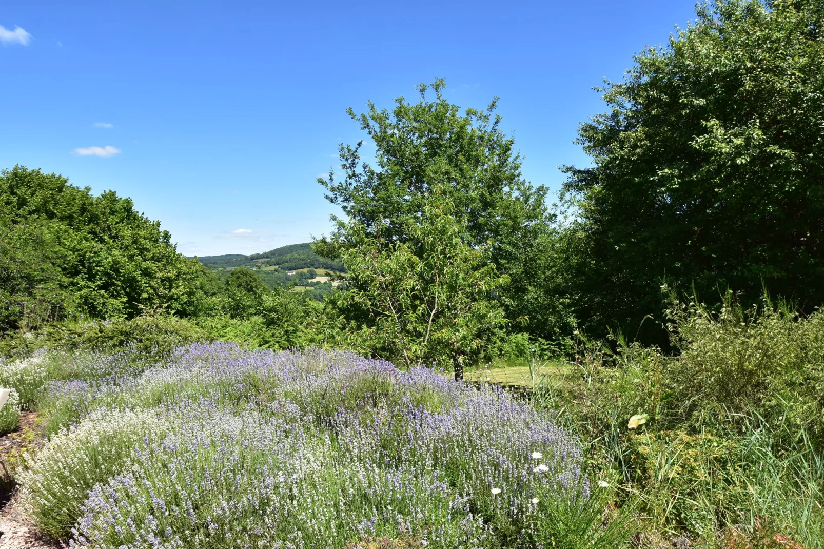 Vue de Pannecière-Tuinen zomer