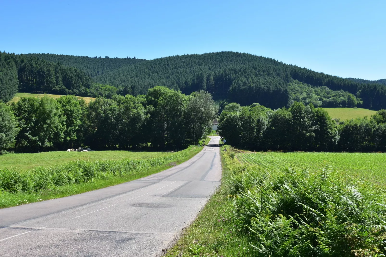 Maison de vacances Vignol-Gebieden zomer 20km