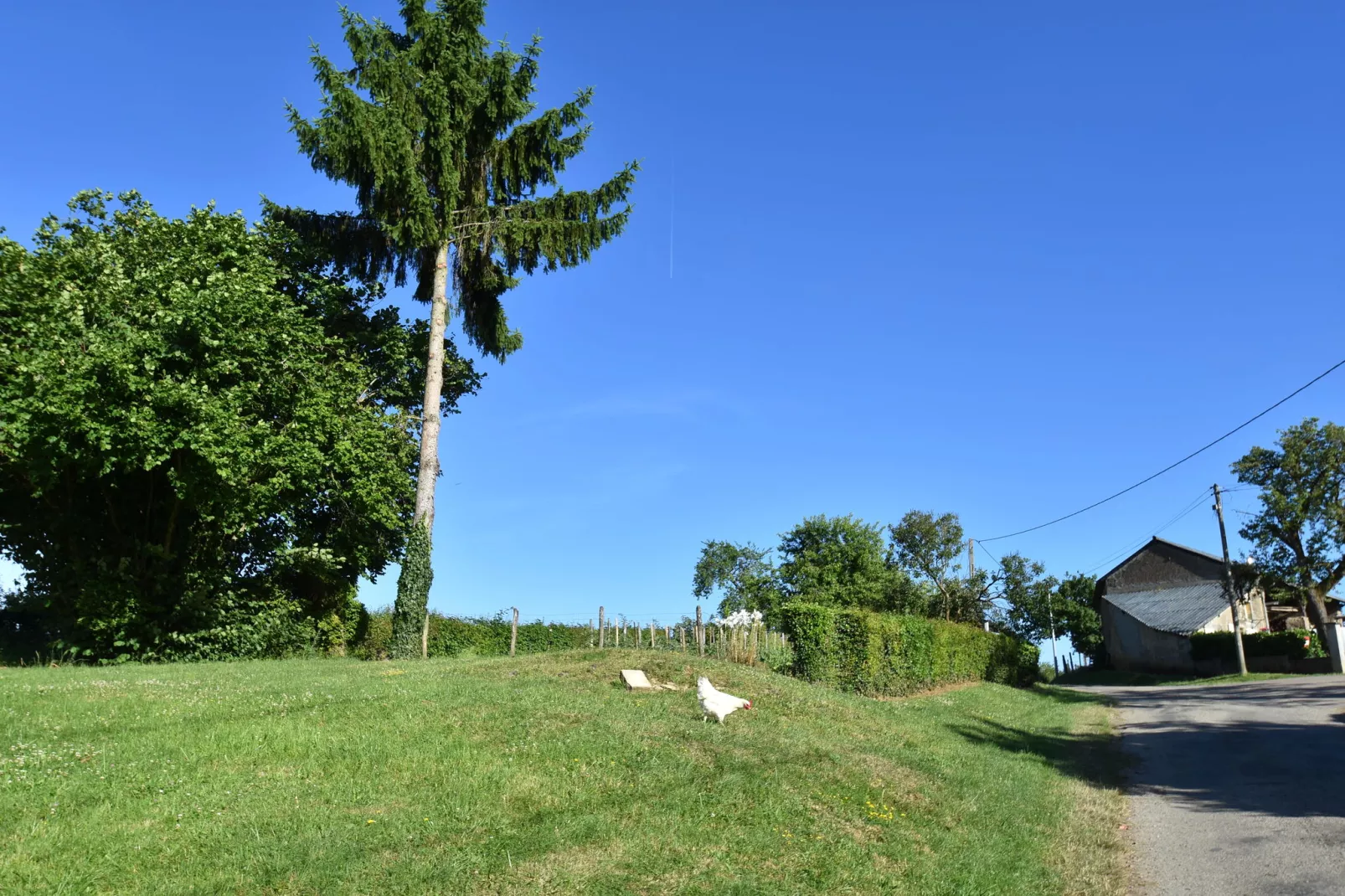 Maison de vacances Tannay-Uitzicht zomer