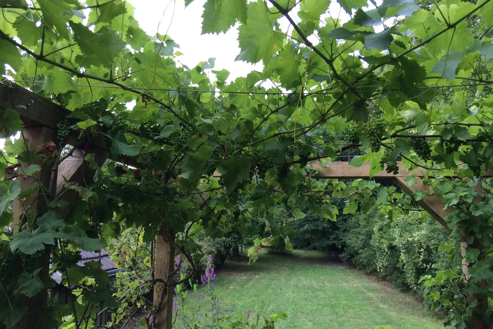 Gite Maison de Garde Barrières-Tuinen zomer