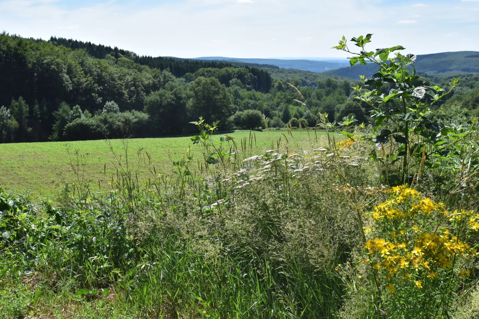 Gite Maison de Garde Barrières-Gebieden zomer 5km