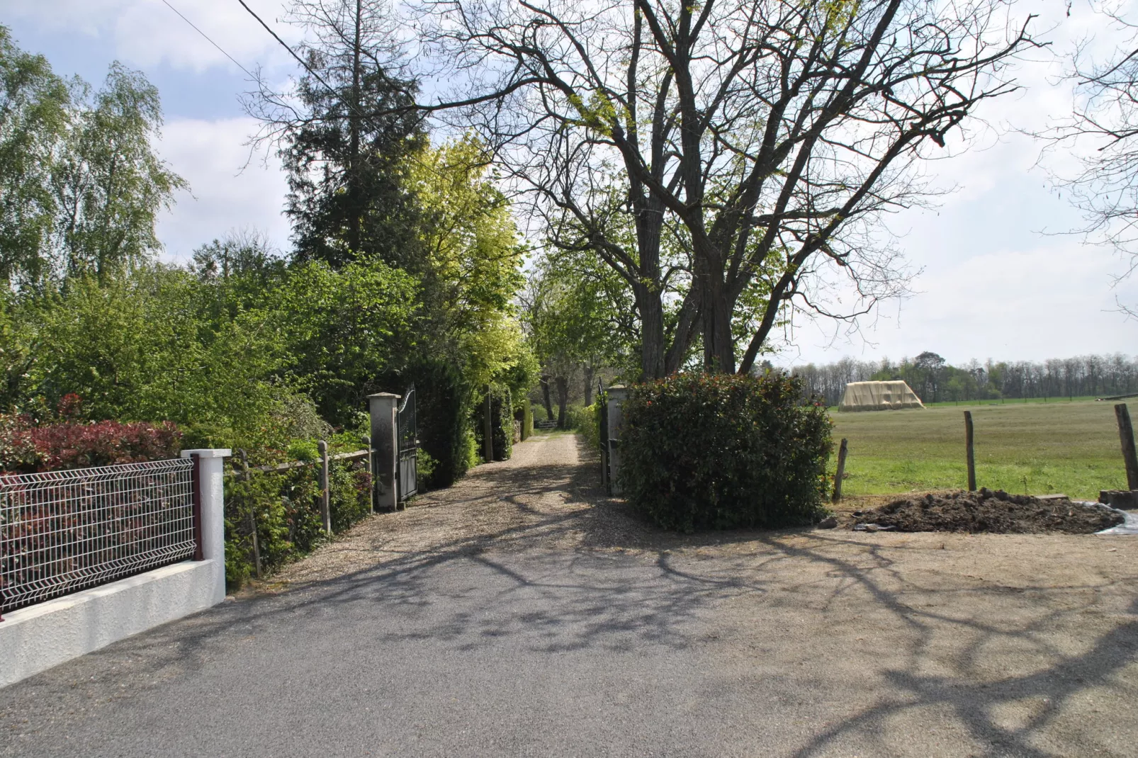 Villa Piscine Bourgogne 10 pers-Gebieden zomer 1km