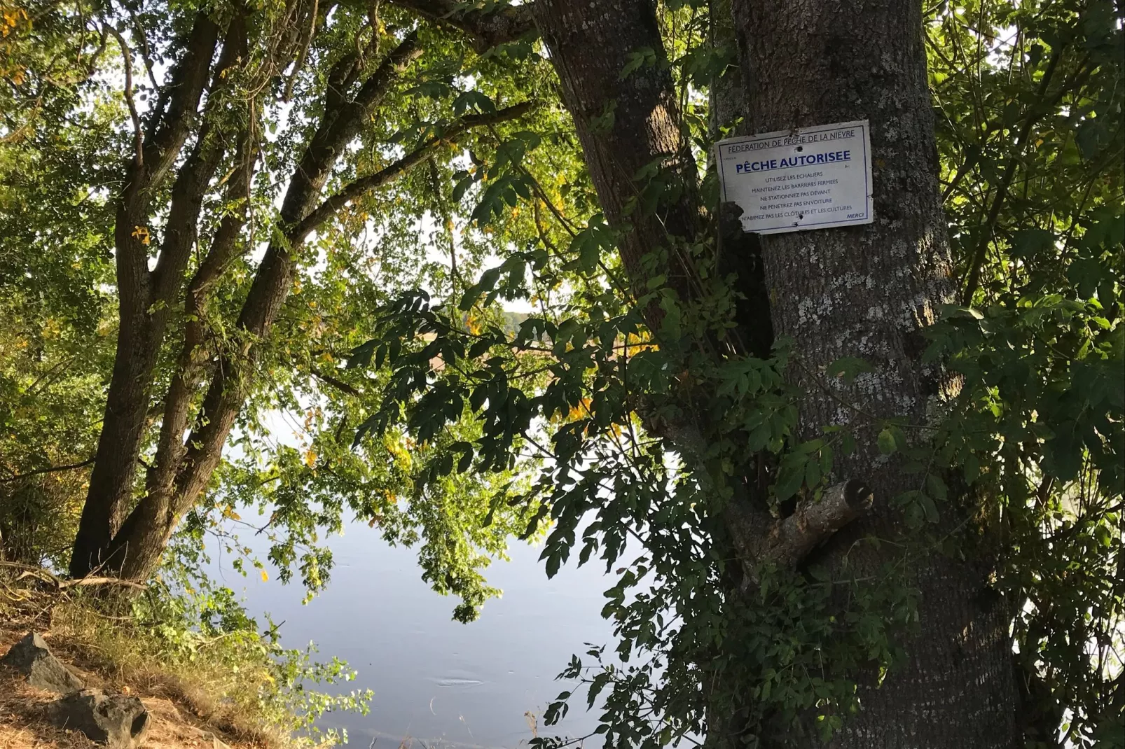 Villa Piscine Bourgogne 10 pers-Gebieden zomer 5km