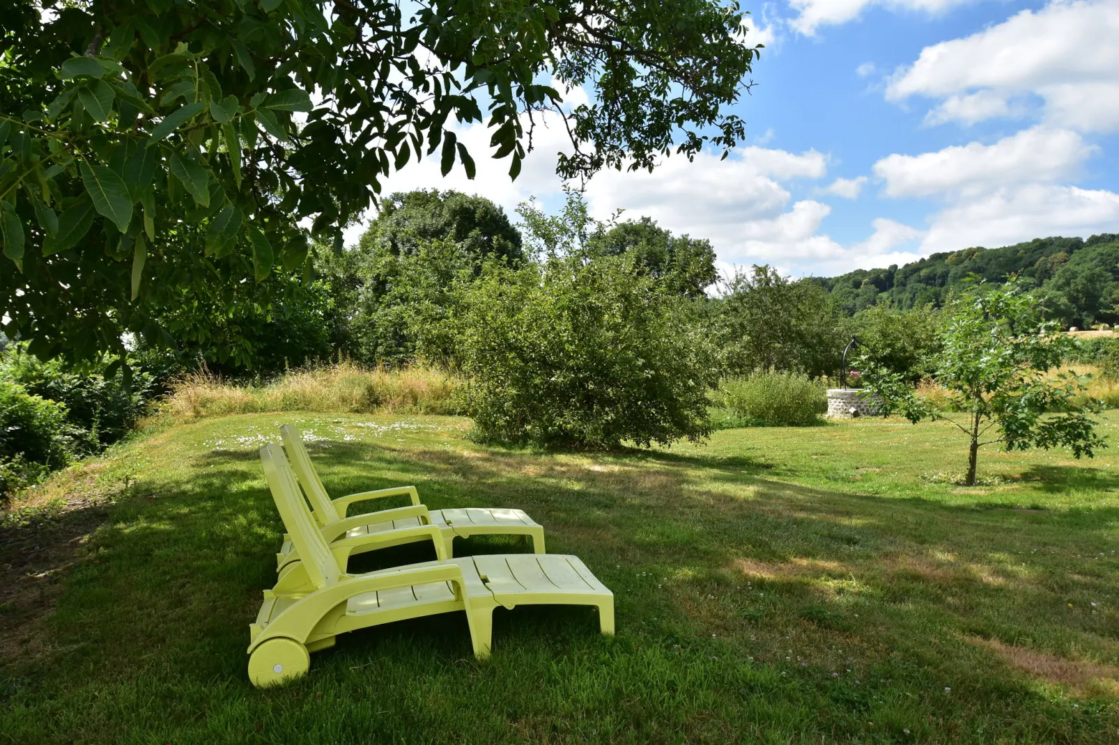 Maison de vacances Crux la Ville-Tuinen zomer