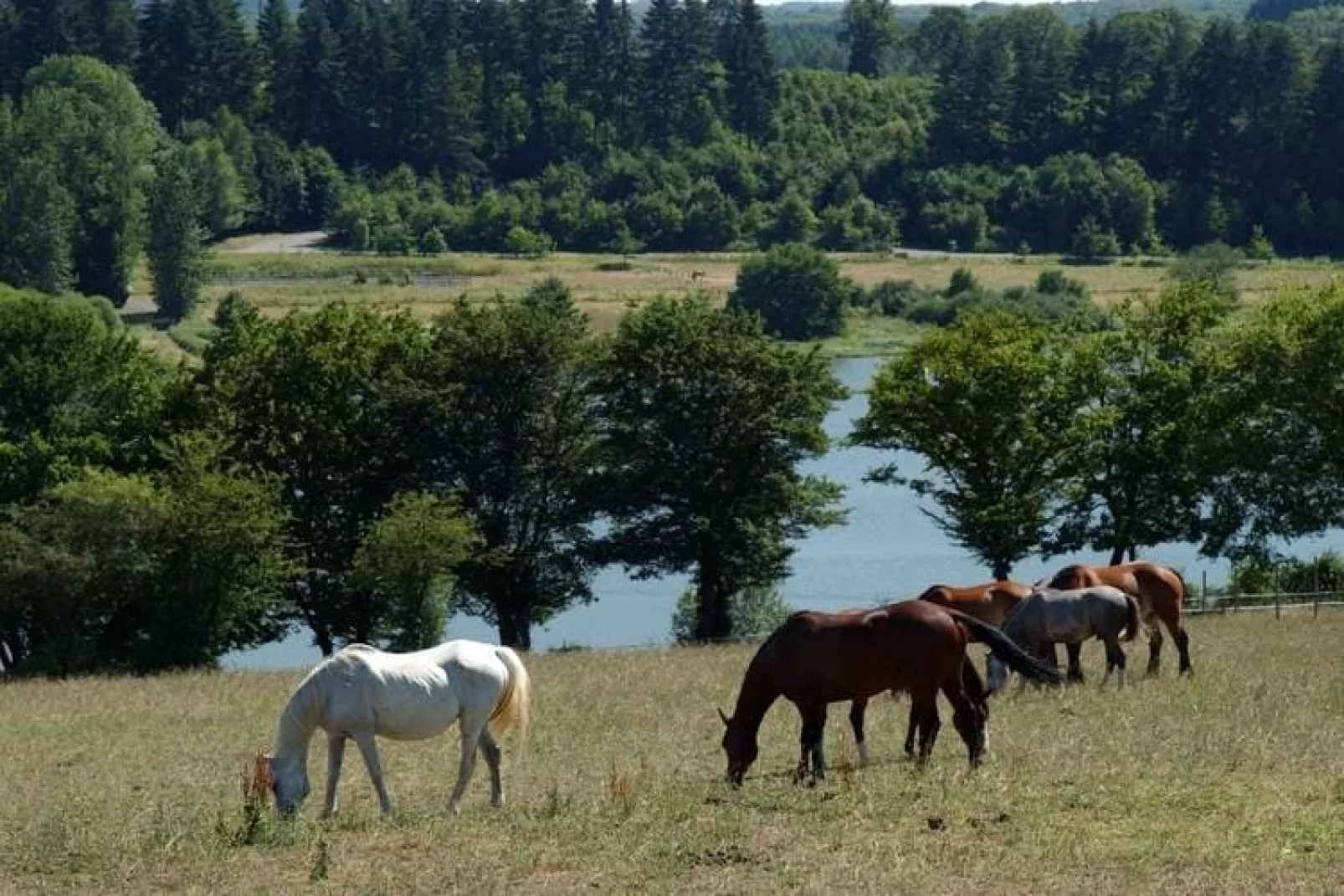 Les Hauts de Valjoly 5-Gebieden zomer 5km