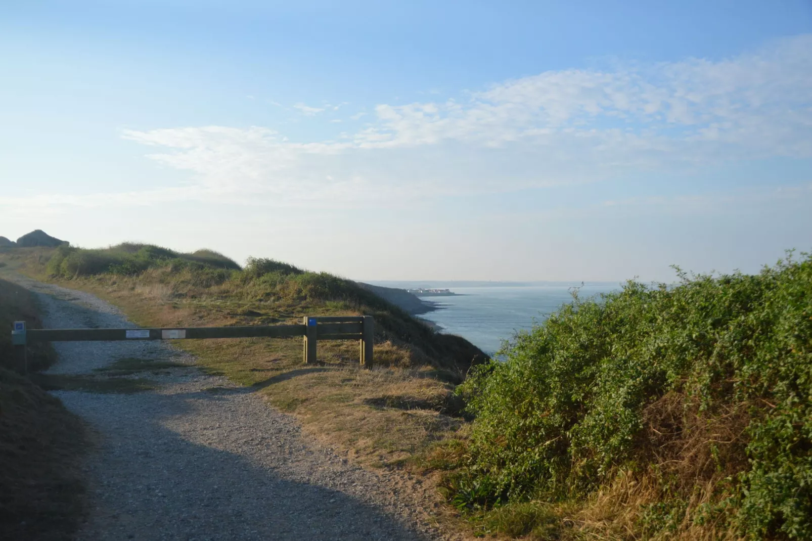 White Cliffs-Gebieden zomer 1km