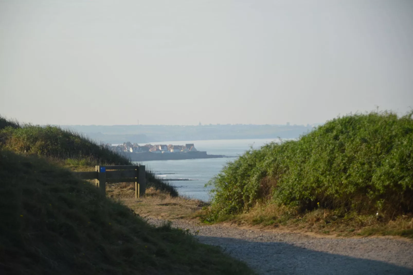 White Cliffs-Gebieden zomer 1km