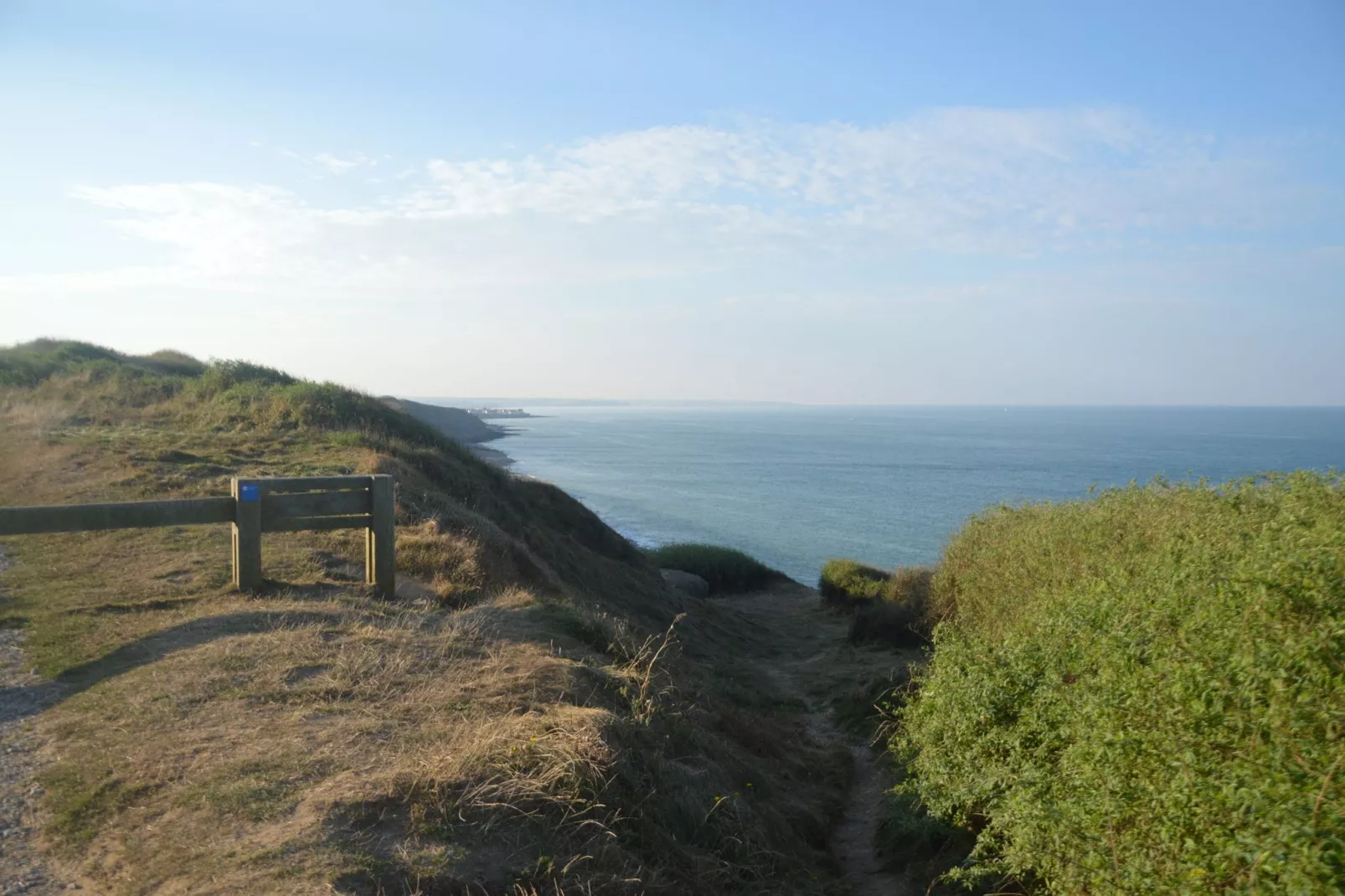 White Cliffs-Gebieden zomer 1km