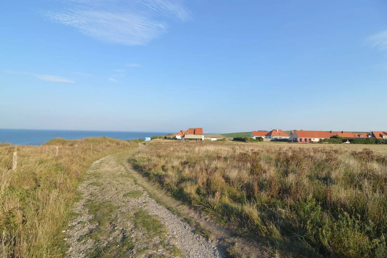 White Cliffs-Gebieden zomer 1km