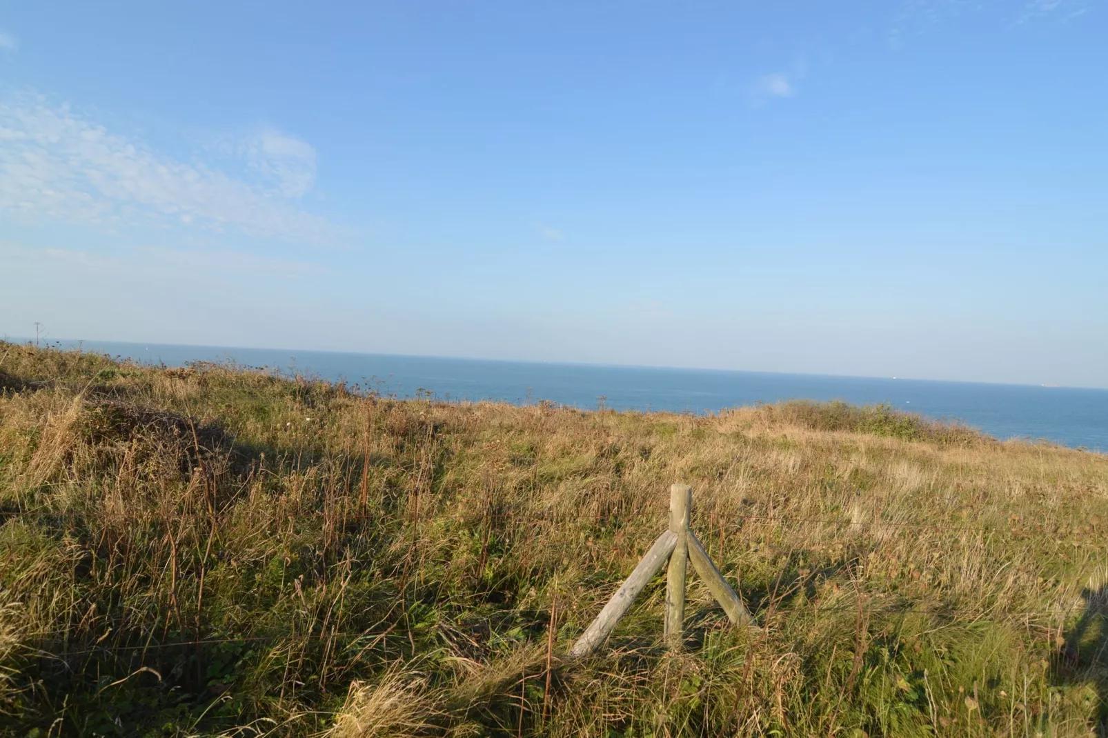 White Cliffs-Gebieden zomer 1km