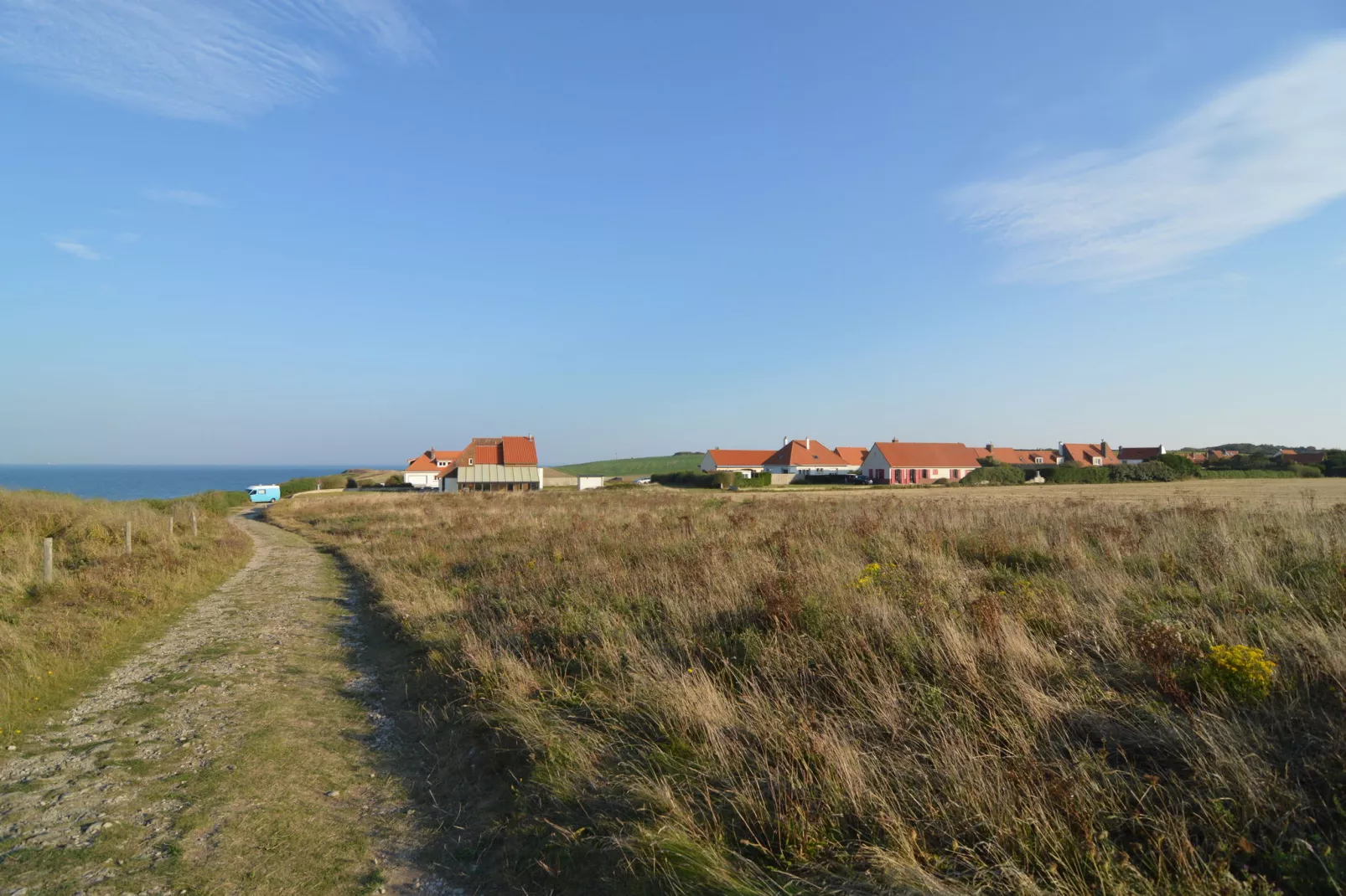 White Cliffs-Gebieden zomer 1km