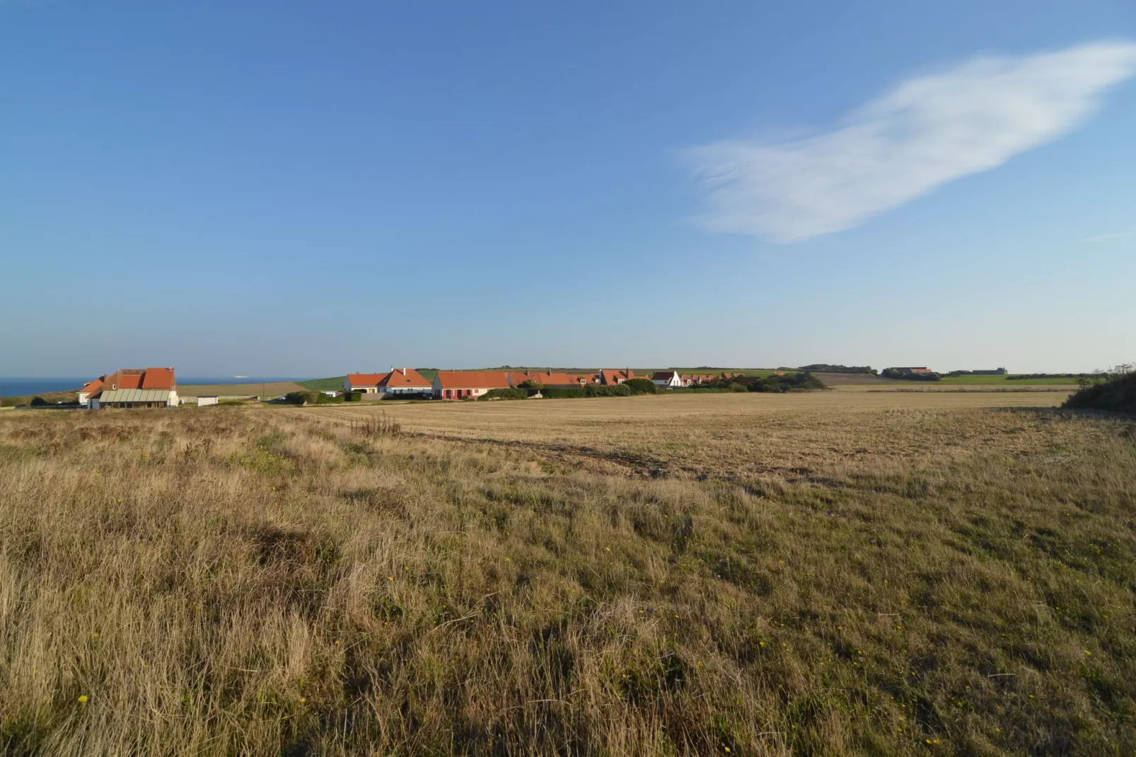 White Cliffs-Gebieden zomer 1km