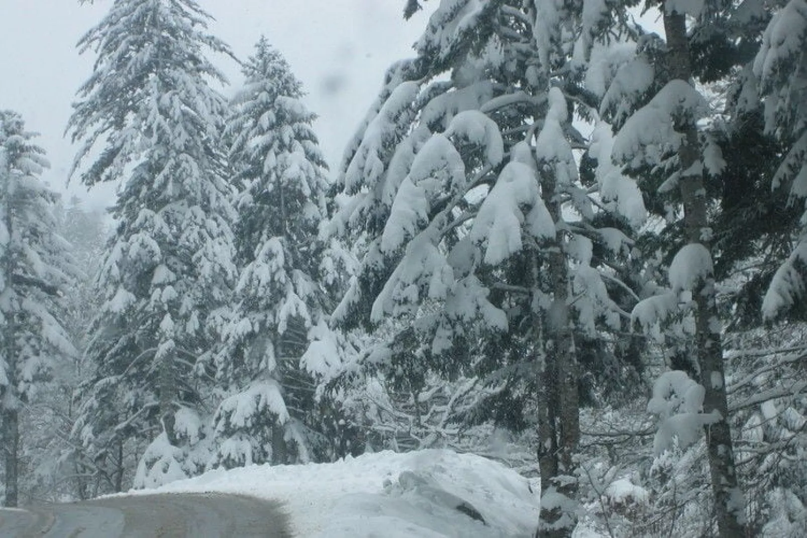 Entre le Gers et les Pyrénées VII-Gebied winter 20km