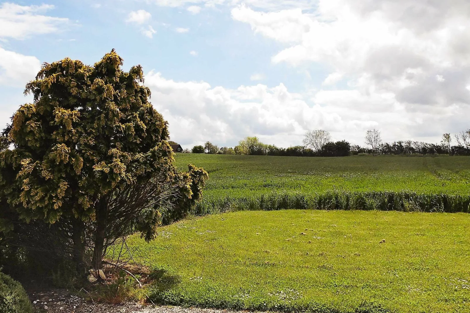 20 persoons vakantie huis in Nordborg-By Traum-Uitzicht