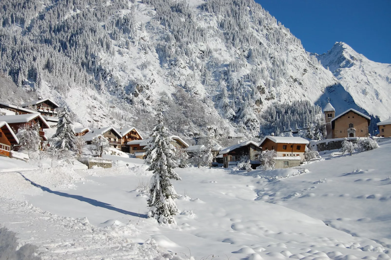 Chalet Appartement Le Pointon 3-Gebied winter 1km