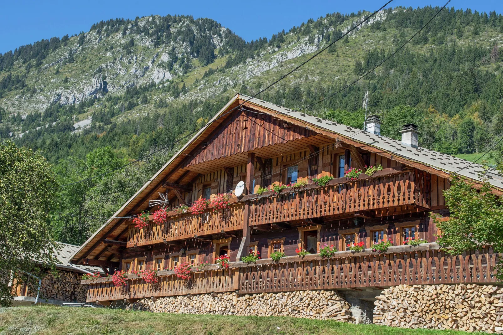 Chalet Le Mont-Buitenkant zomer