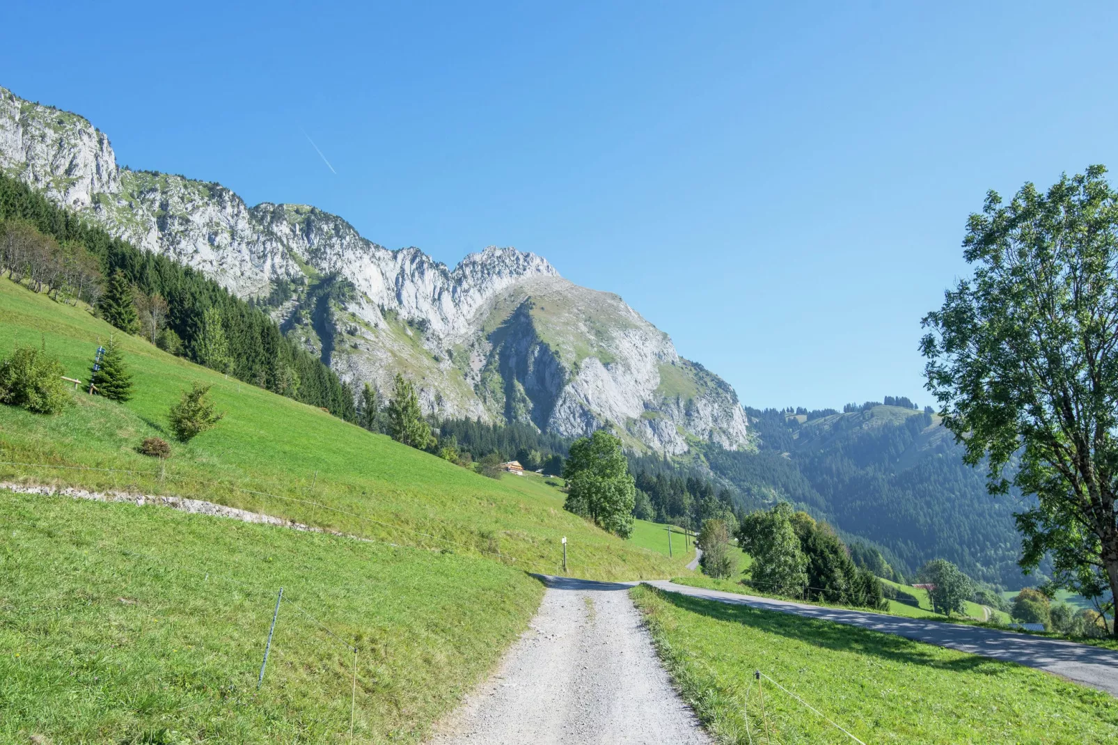 Chalet Le Mont-Gebieden zomer 1km