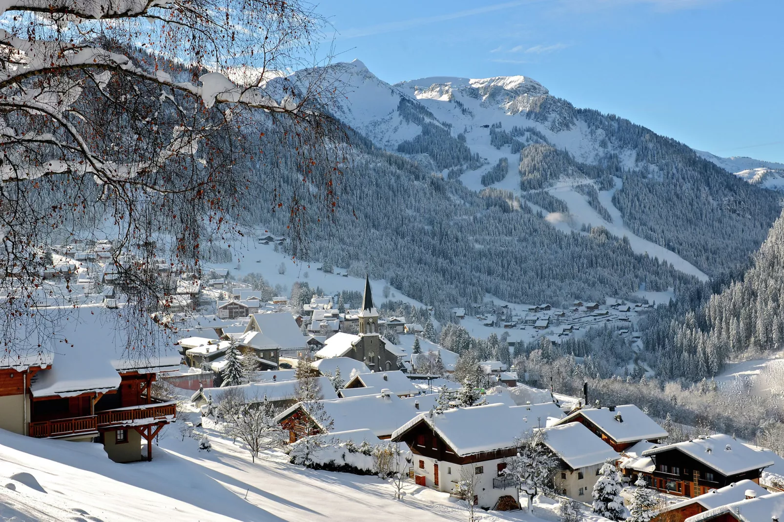 Gezellig appartement in Châtel met skilift nabij-Gebied winter 1km