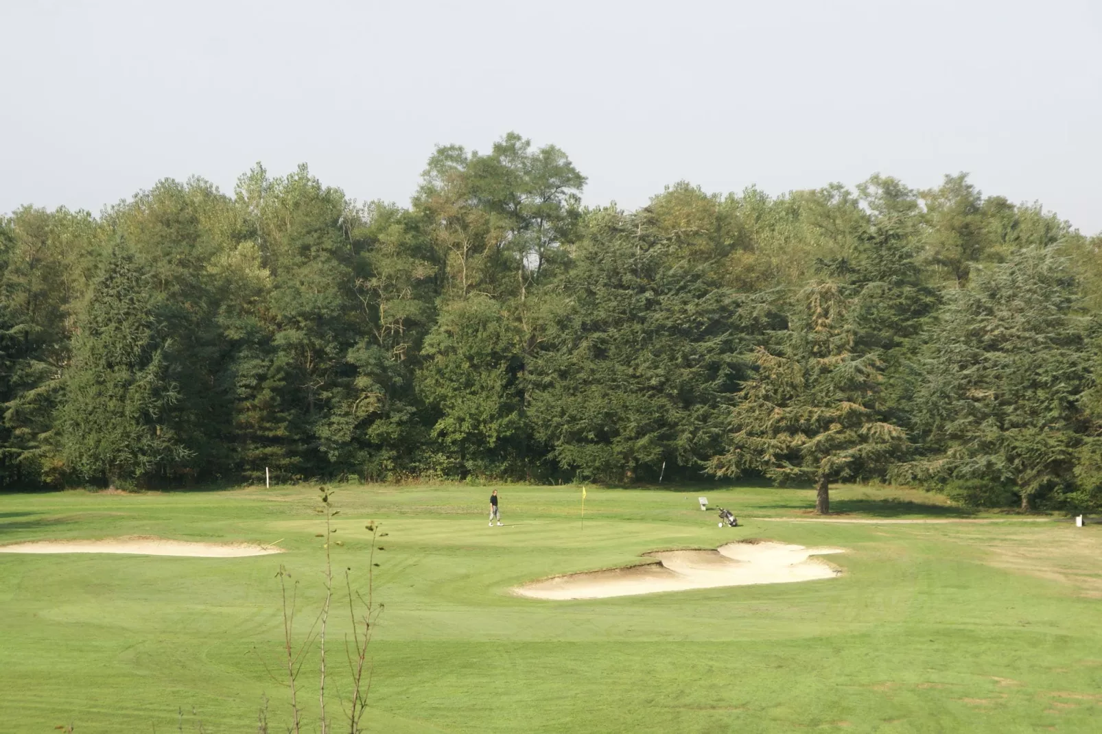 Royal Green Parc - Golf de Mazamet 1