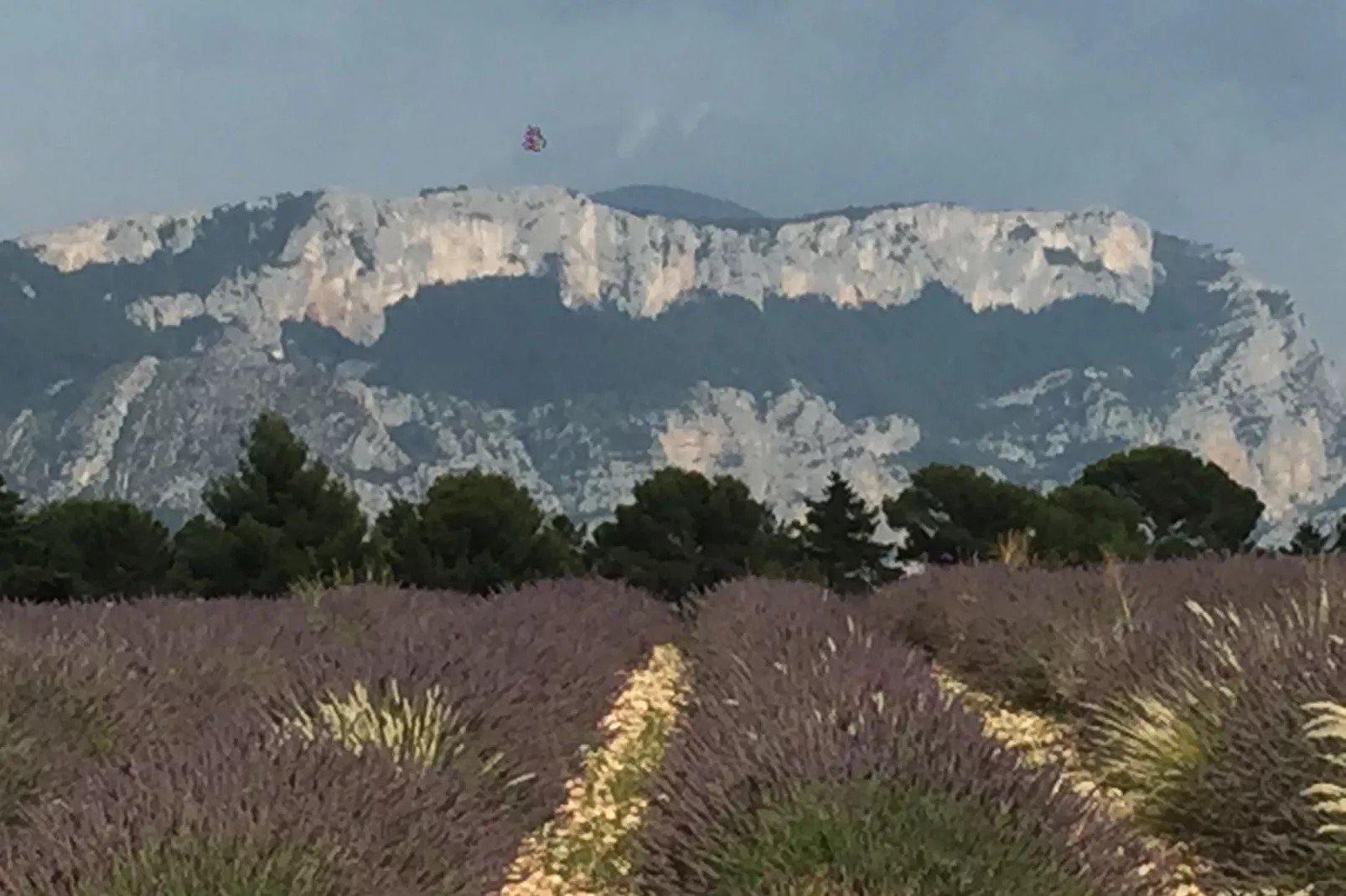 Les Lauriers-Roses-Gebieden zomer 20km