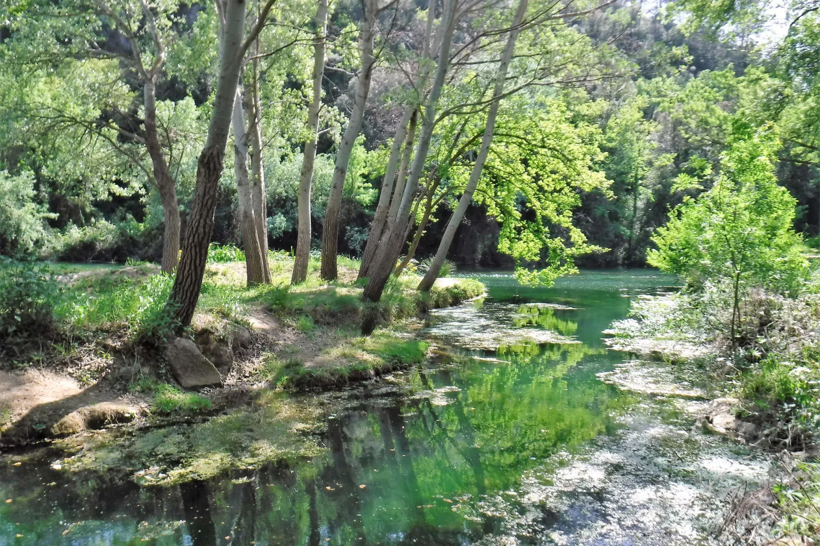 Maison Gallin-Gebieden zomer 5km