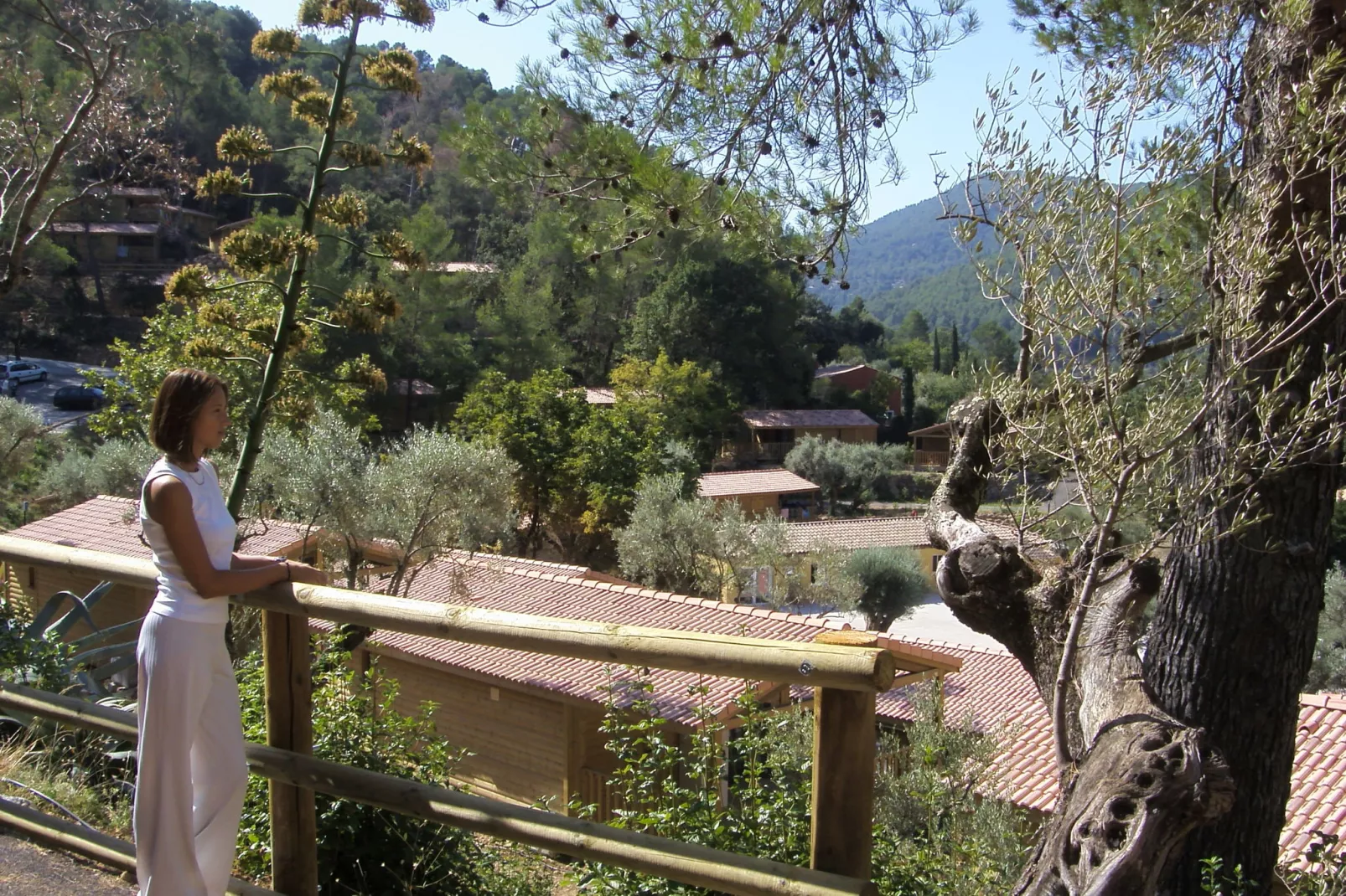 Les Cottages Varois-Gebieden zomer 5km