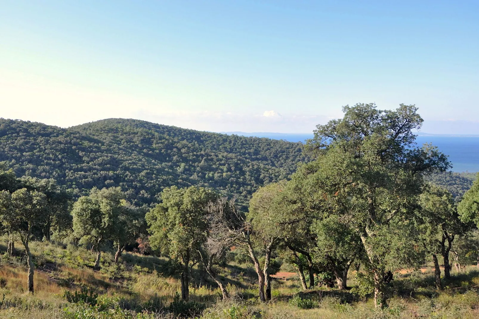 Villa avec piscine vue mer et proche plage à Bormes les Mimosas-Gebieden zomer 5km