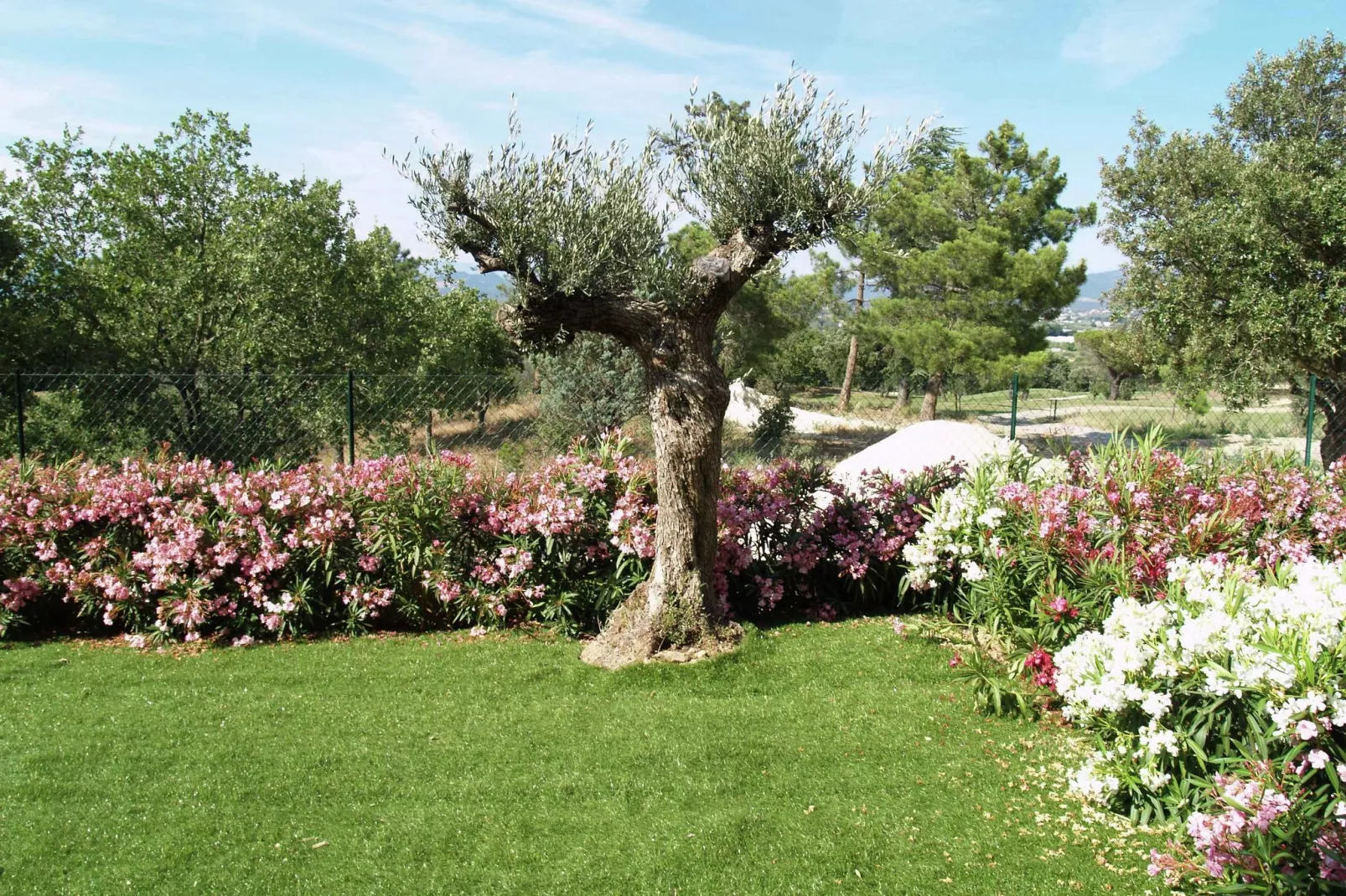 Le Green Bastide 1-Uitzicht zomer