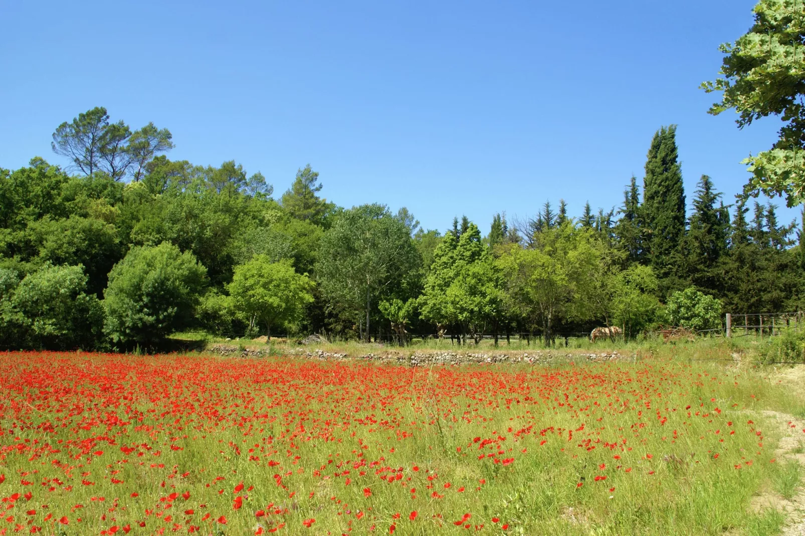 Villa Entrecasteaux-Gebieden zomer 1km