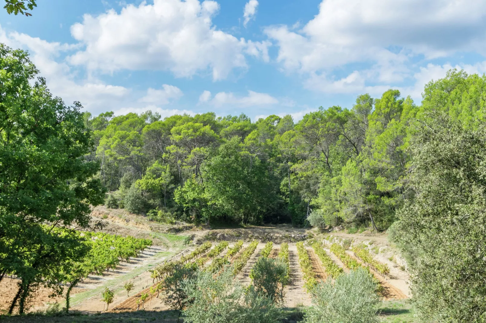 Villa Entrecasteaux-Gebieden zomer 1km