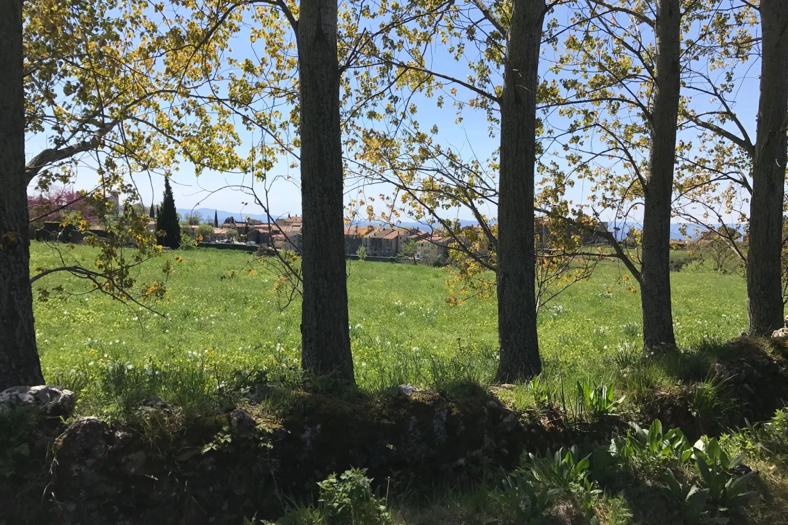 Villa vue splendide-Gebieden zomer 5km