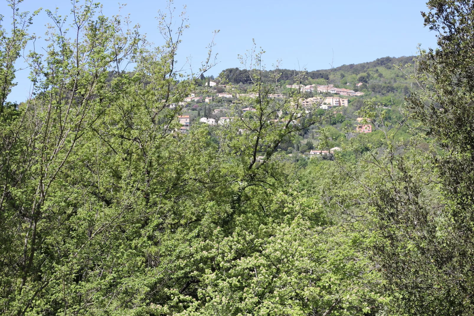 Le Calicou-Gebieden zomer 1km