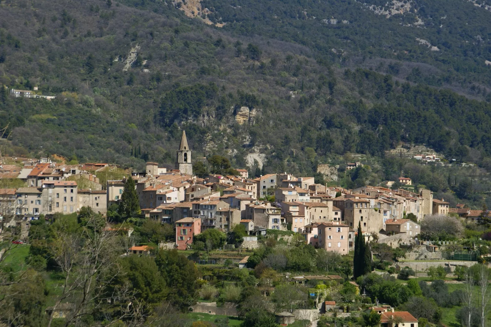 Le Calicou