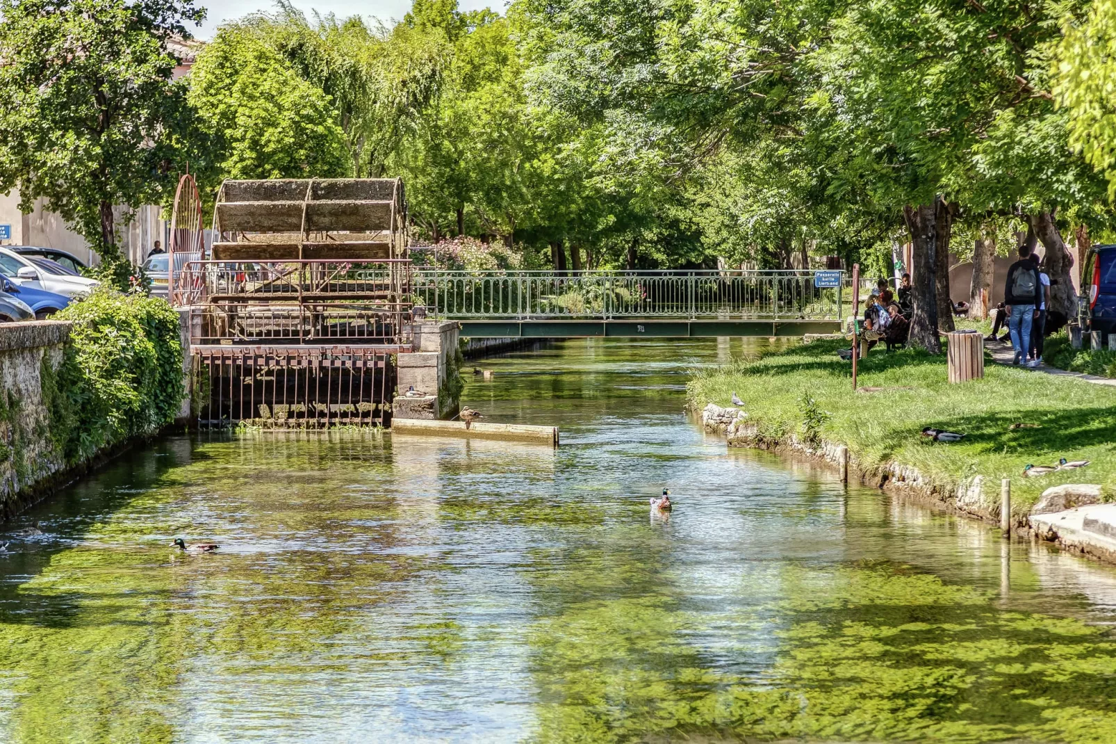 Villa - L'ISLE-SUR-LA-SORGUE-Gebieden zomer 5km