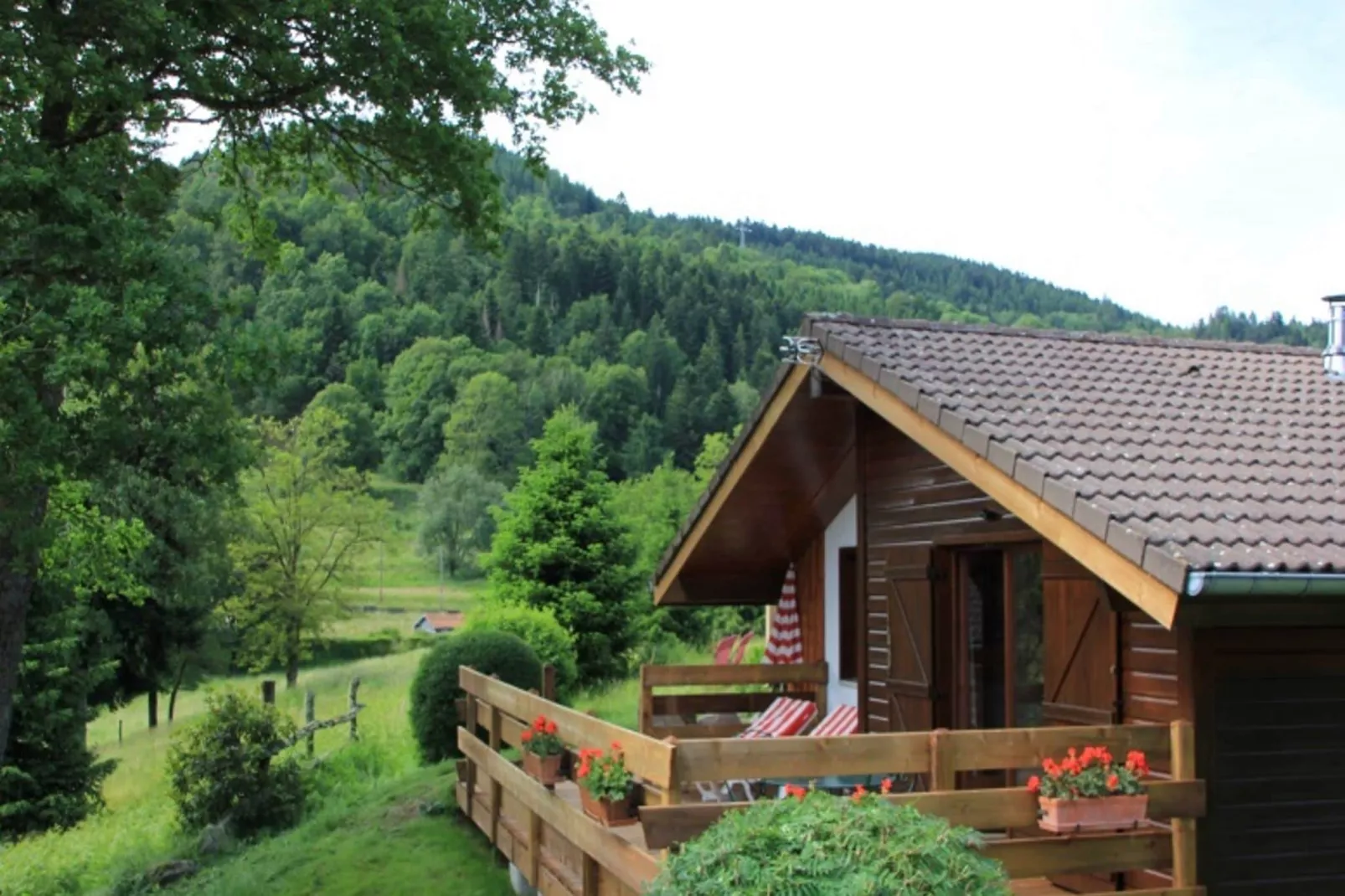 Les Chalets des Ayes 10-Uitzicht zomer