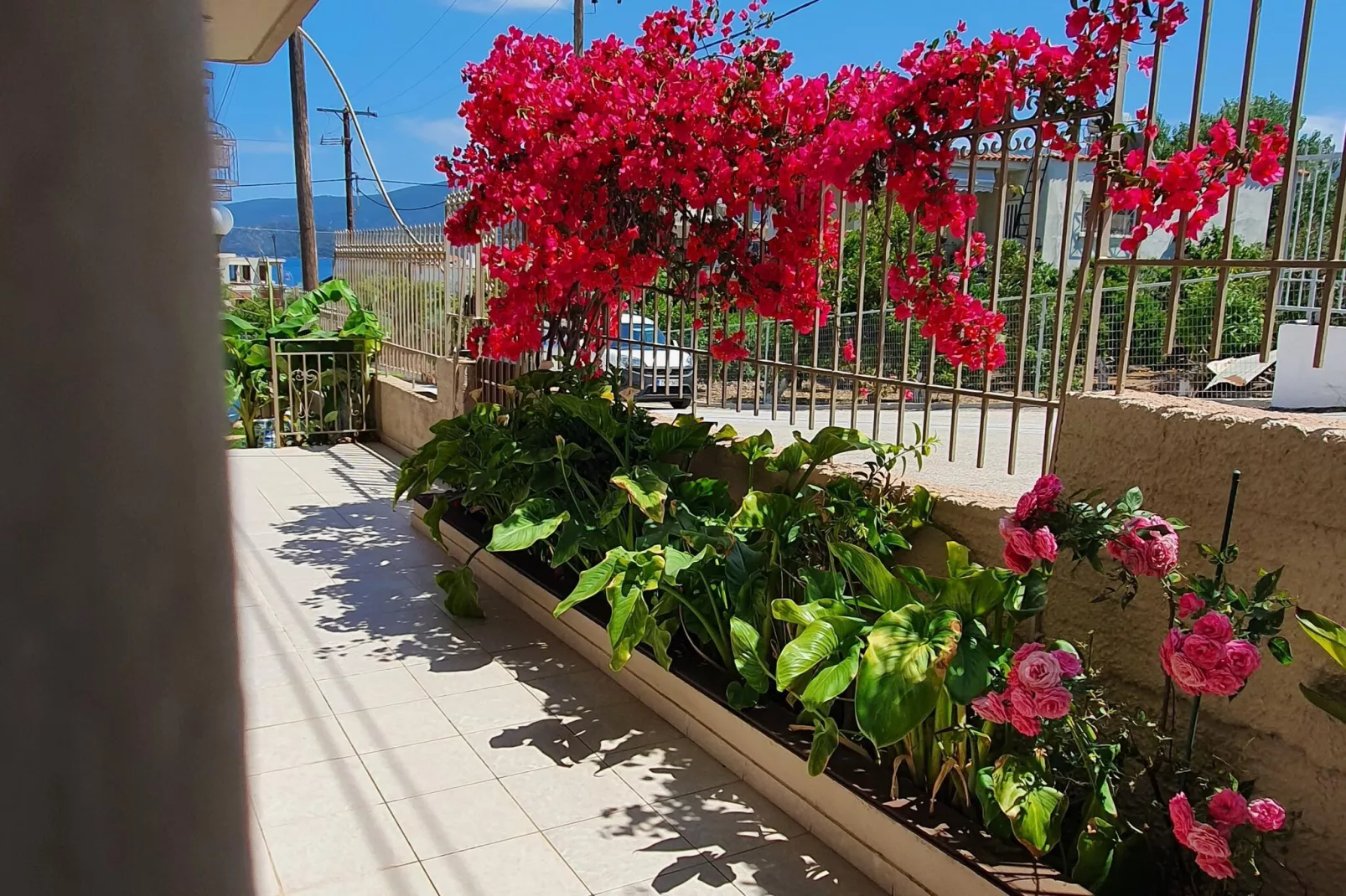 House Loutra Elenis-Uitzicht zomer