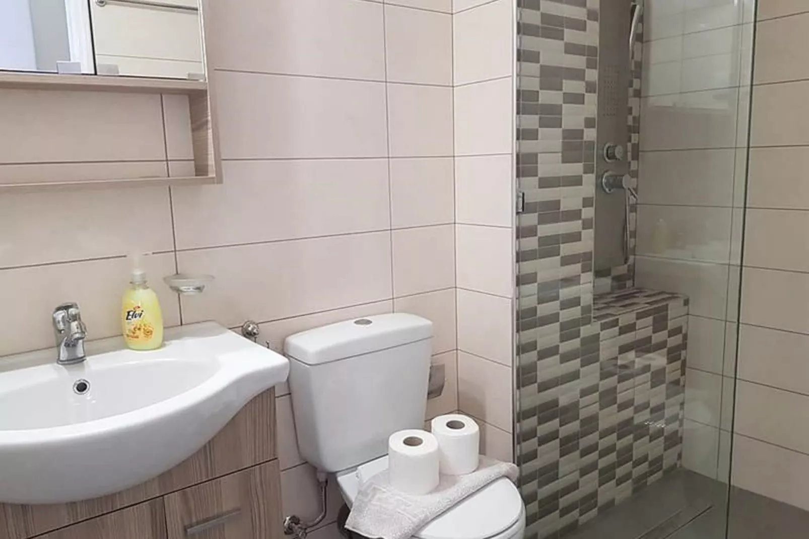 Standart Apartments 67-Badkamer