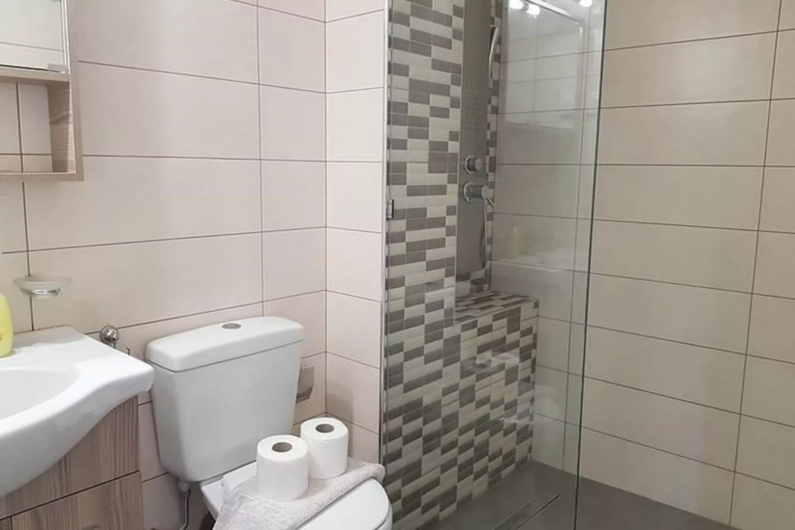 Standart Apartments 67-Badkamer