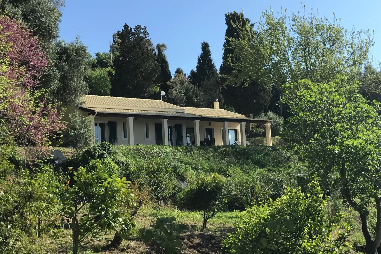 Villa Dysis-Buitenkant zomer