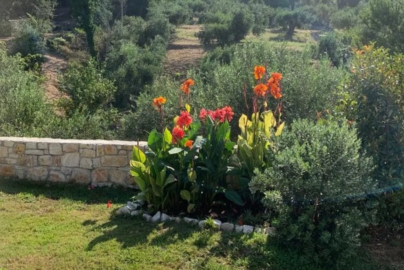 Villa Spirena-Tuinen zomer