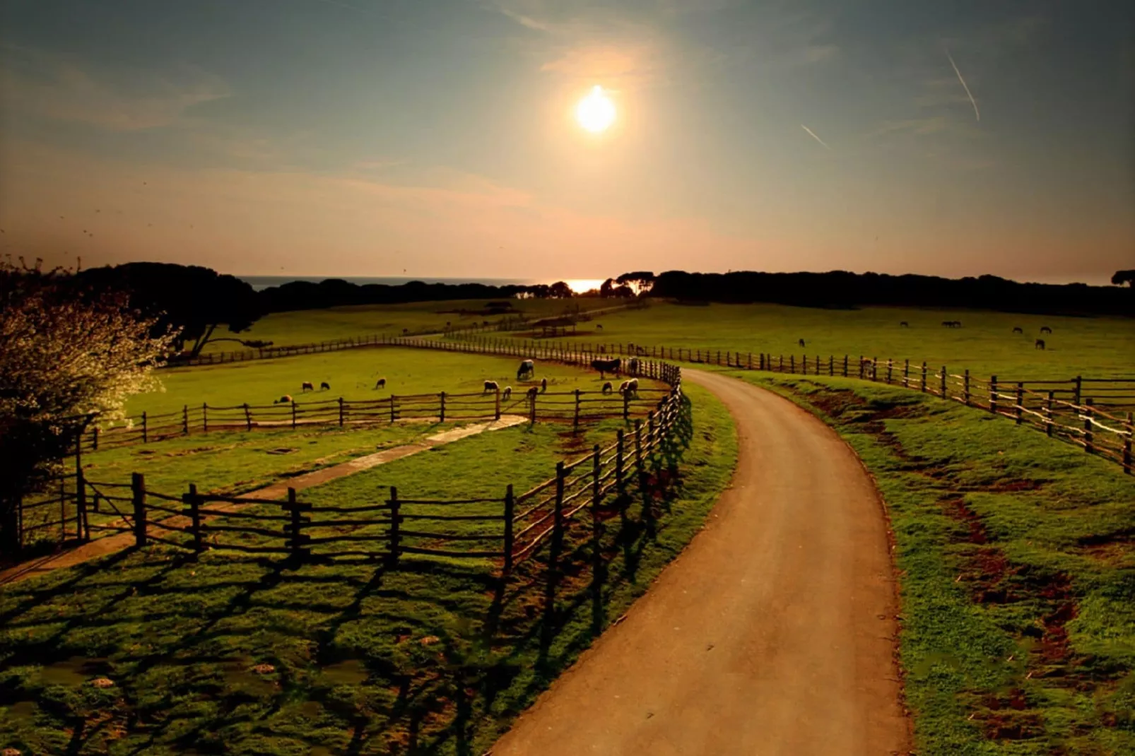 Holiday Home Blue Sky-Gebieden zomer 20km