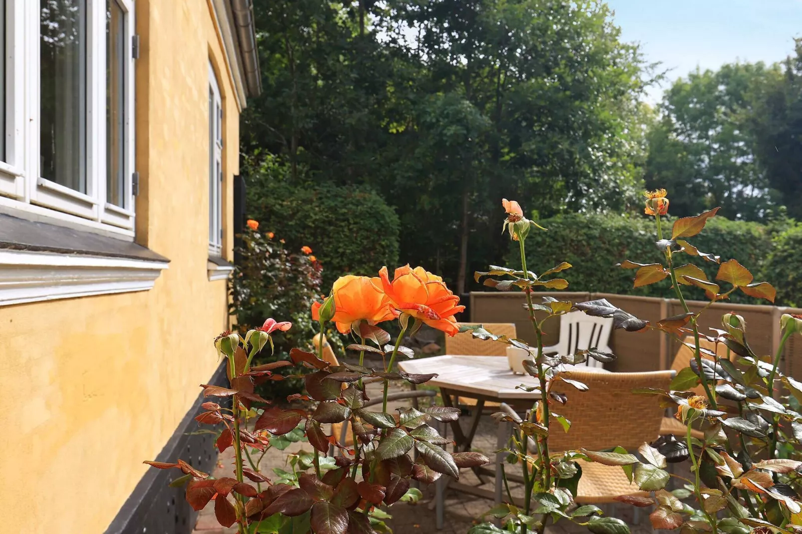 6 persoons vakantie huis in Søby Ærø-Uitzicht