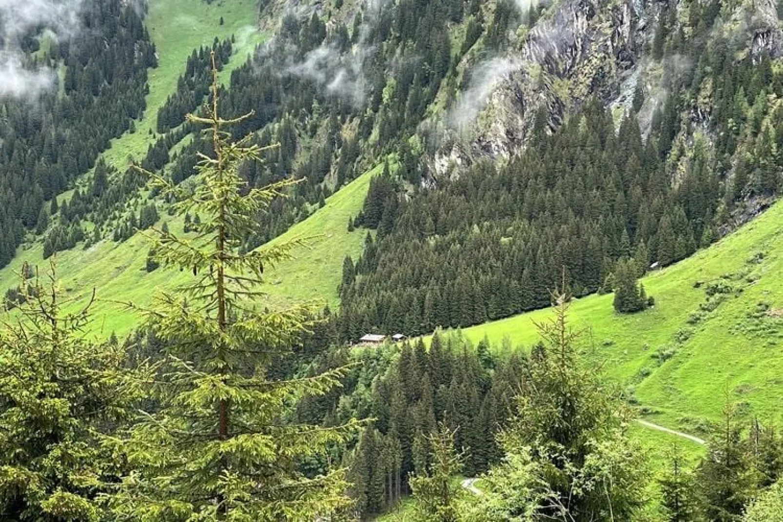 Chalet Ochsenbug-Gebieden zomer 20km