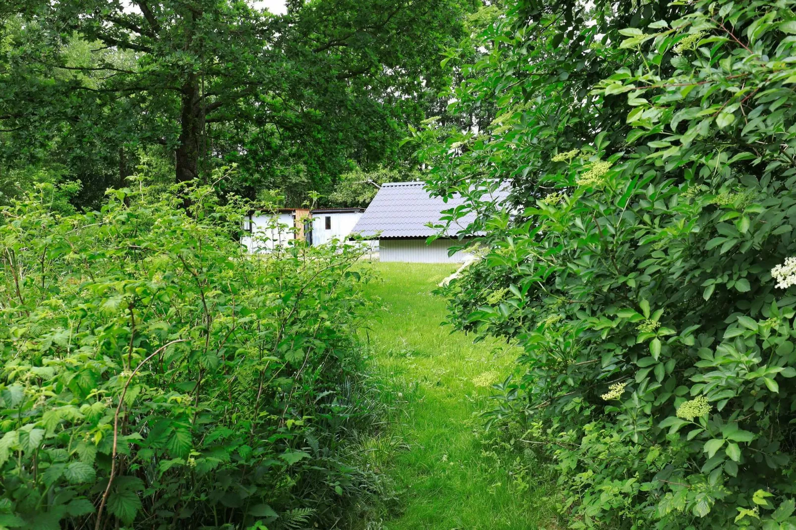 6 persoons vakantie huis in Roslev-Uitzicht