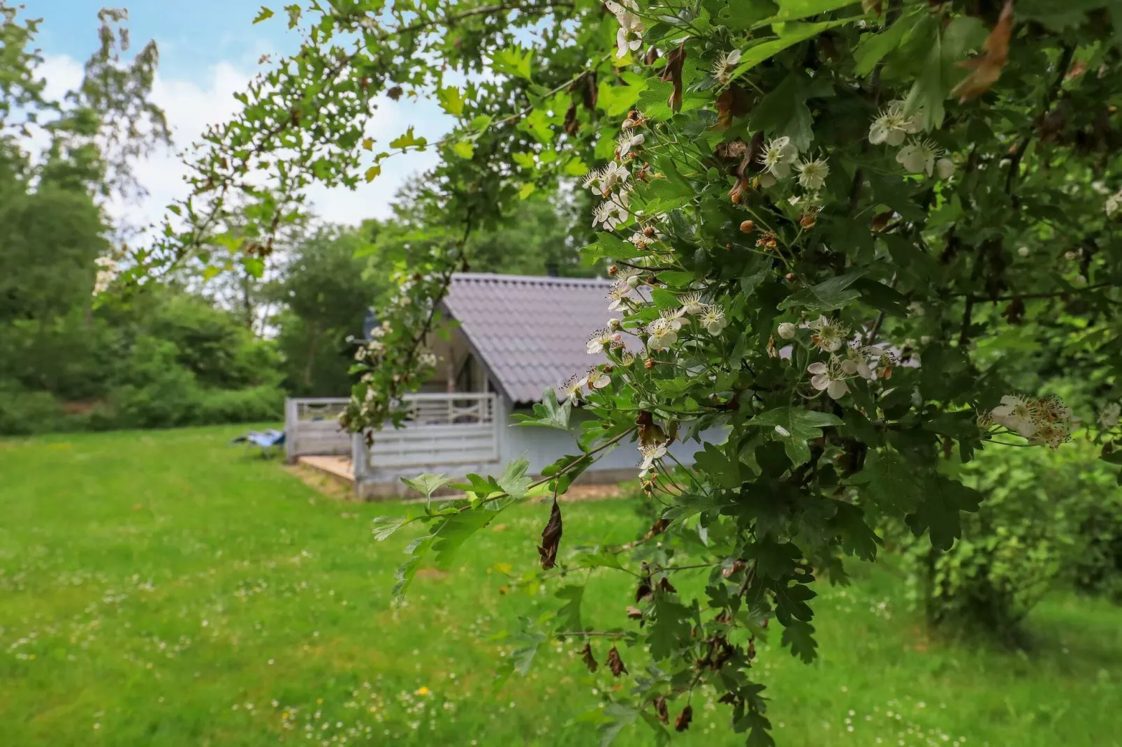 6 persoons vakantie huis in Roslev-Uitzicht