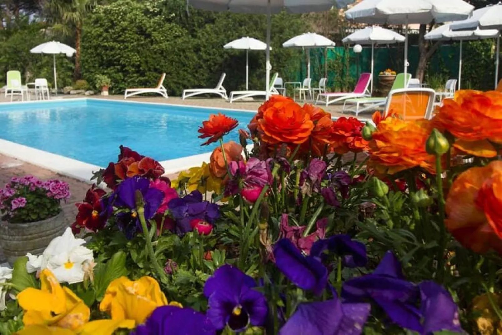 Villa Paola Loano - Type B6 neu B4plus2-Zwembad