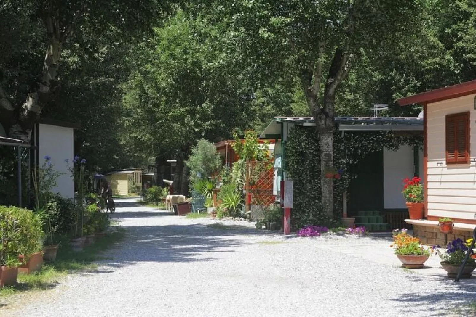 Caravanpark Marina 3B Sarzana - MH 4 Pax-Tuinen zomer