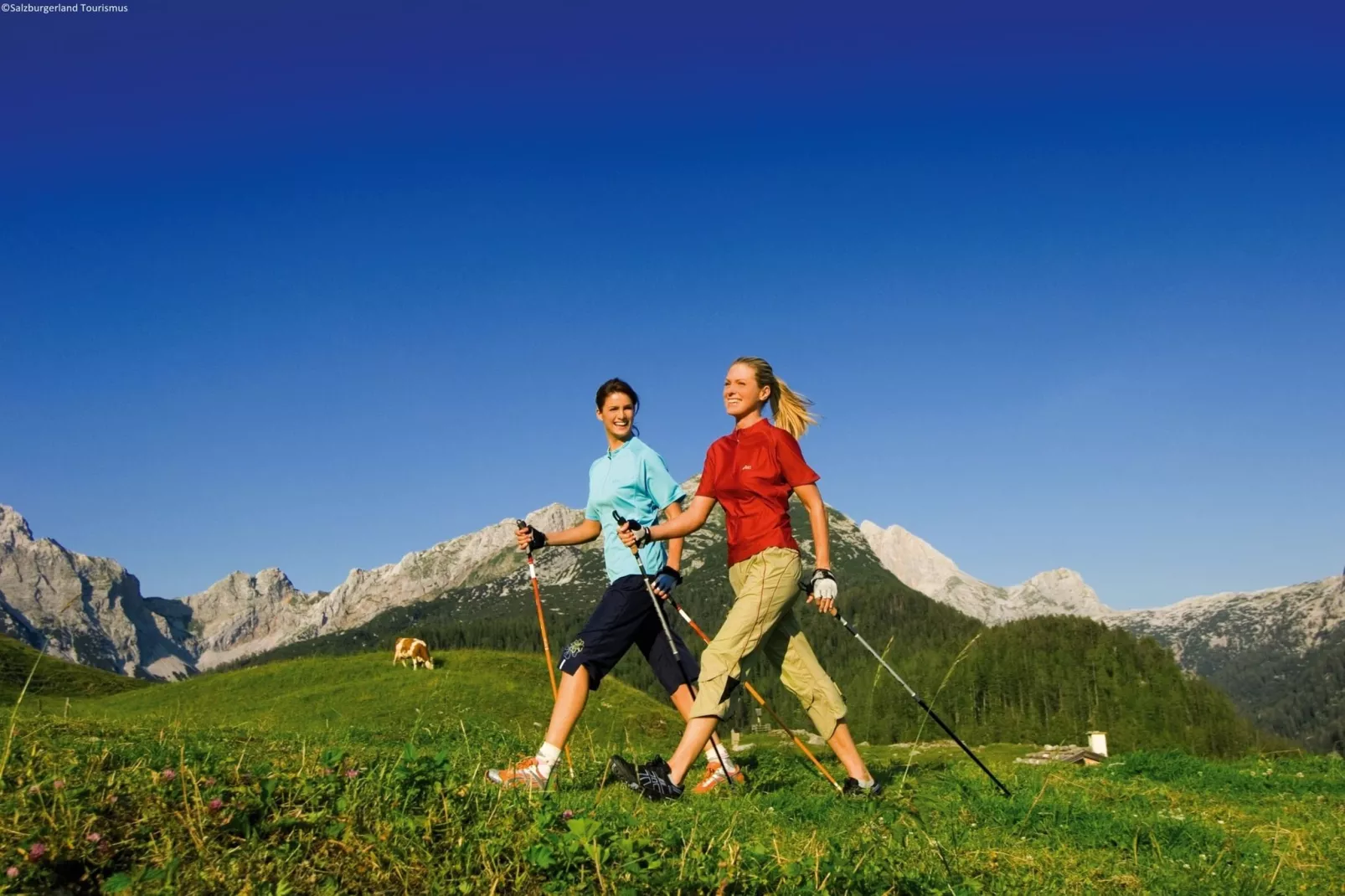 Alpenglühen Geisler - Helios Top 2-Gebieden zomer 1km